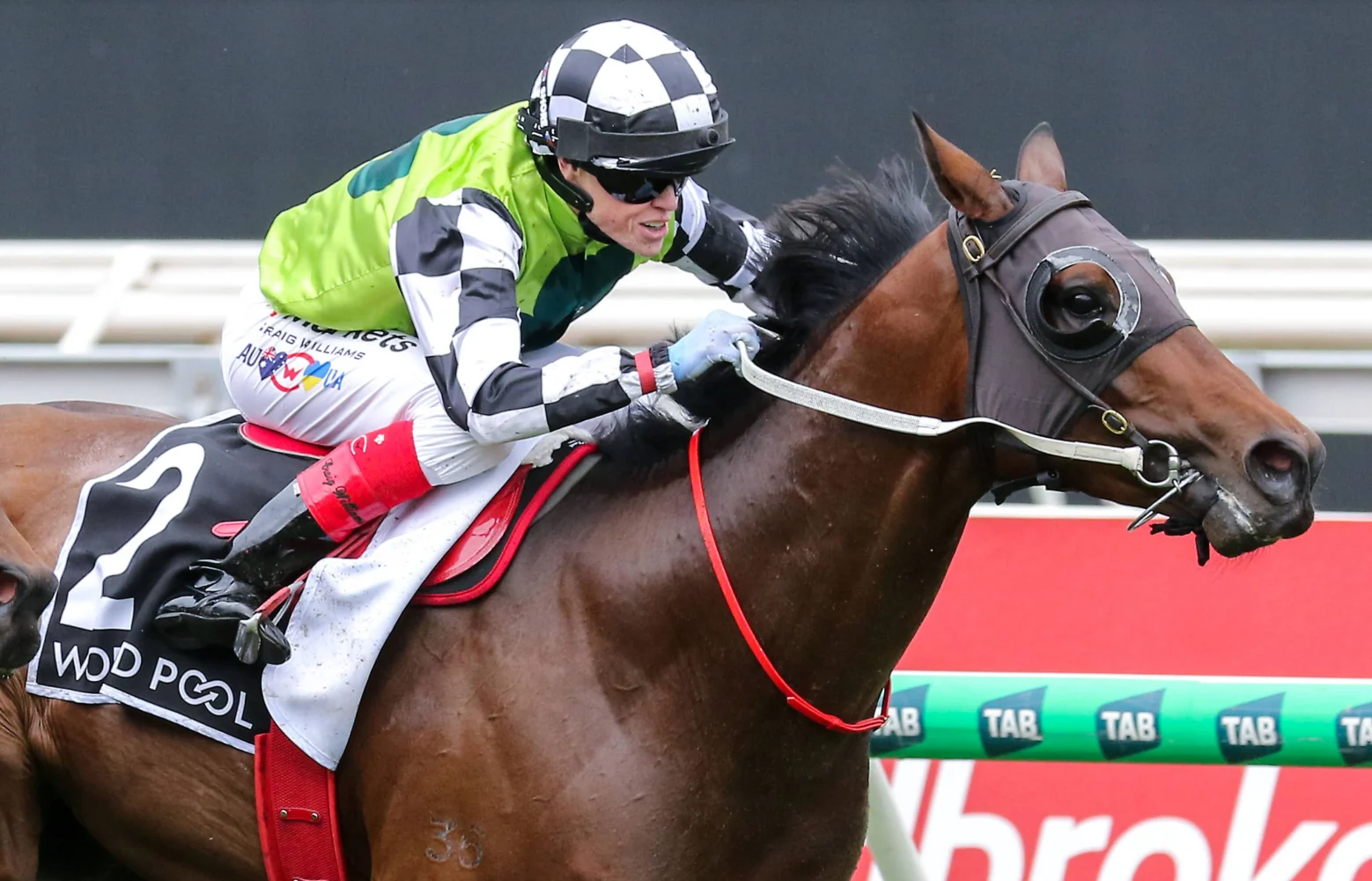 2026 Red Anchor Stakes winner Buggsy