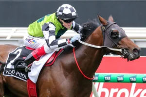 2026 Red Anchor Stakes winner Buggsy