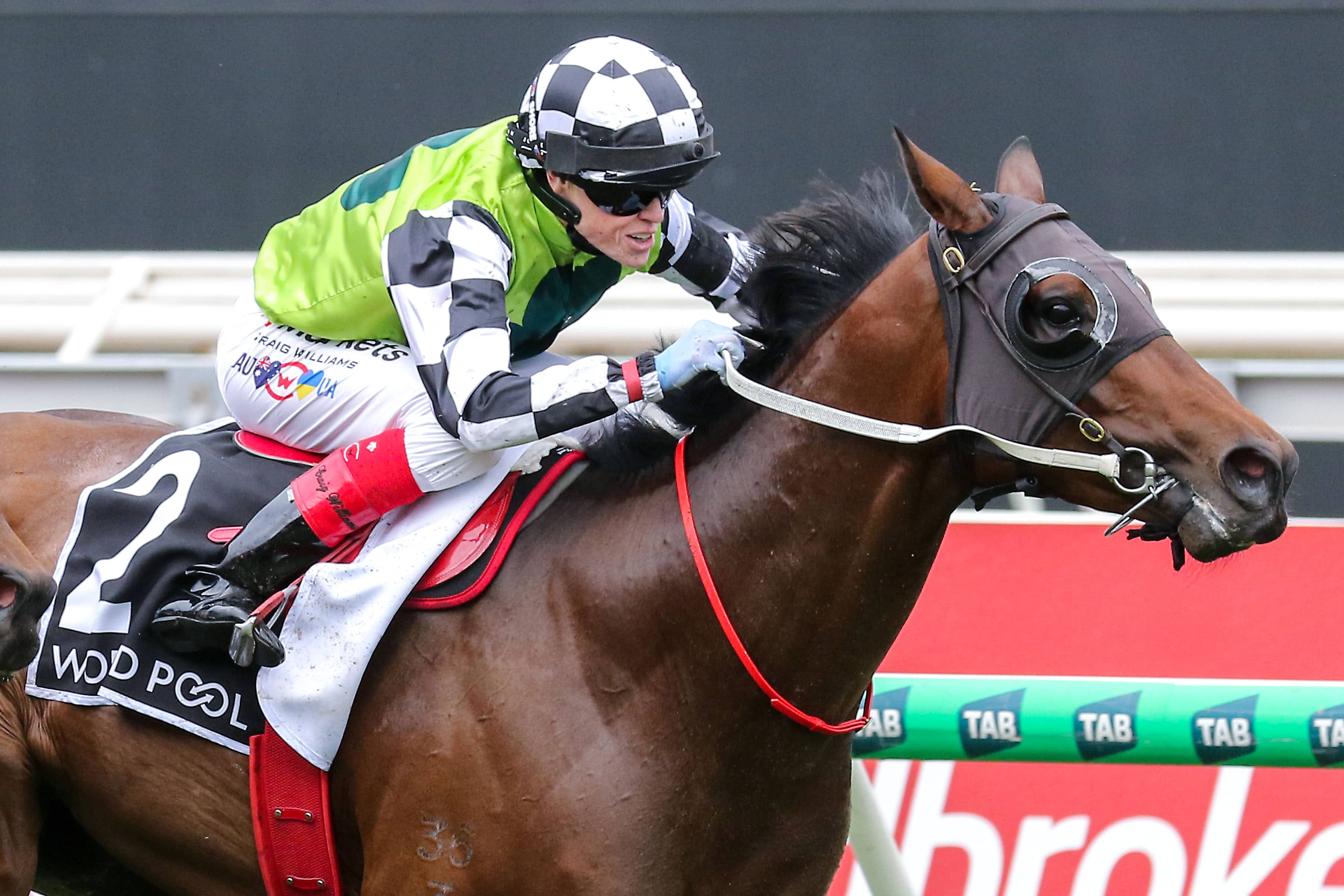 2026 Red Anchor Stakes winner Buggsy