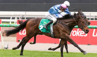 True Rebel Storms into Victoria Derby 2026 Favouritism with Dominant Moonee Valley Vase Victory