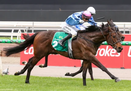 2026 Moonee Valley Vase winner True Rebel