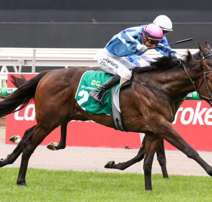 True Rebel Storms into Victoria Derby 2026 Favouritism with Dominant Moonee Valley Vase Victory