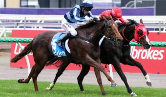 Smooth Chino Stuns in McEwen Stakes 2026 Upset, Earns Potential Champions Sprint Shot