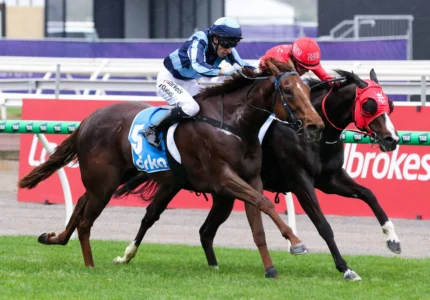 2026 McEwen Stakes winner Smooth Chino