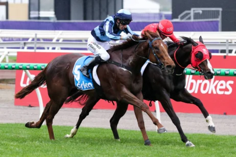 2026 McEwen Stakes winner Smooth Chino