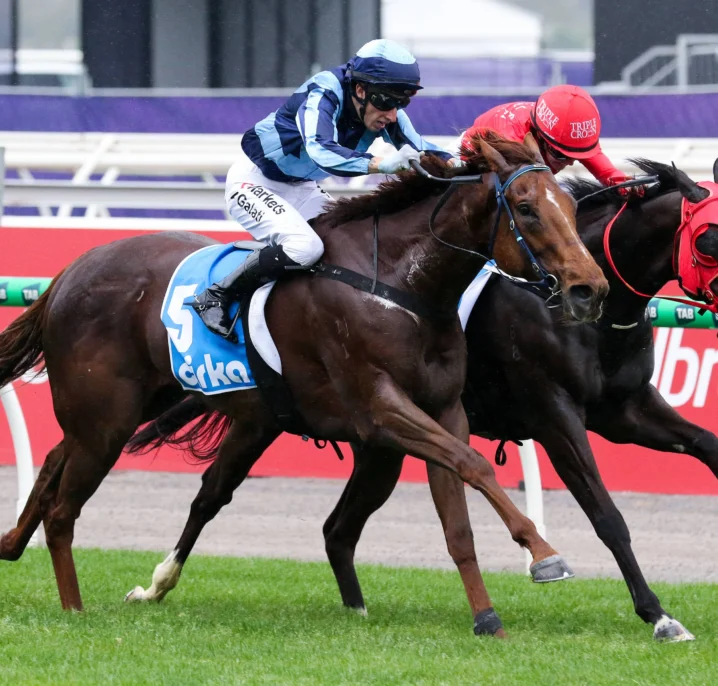 Smooth Chino Stuns in McEwen Stakes 2026 Upset, Earns Potential Champions Sprint Shot