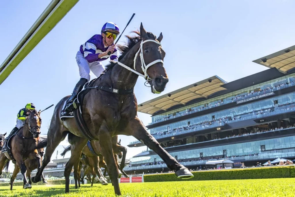 2026 Craven Plate winner Lindermann