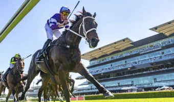 Craven Plate 2026 Results: Lindermann Makes History with Third Straight Win