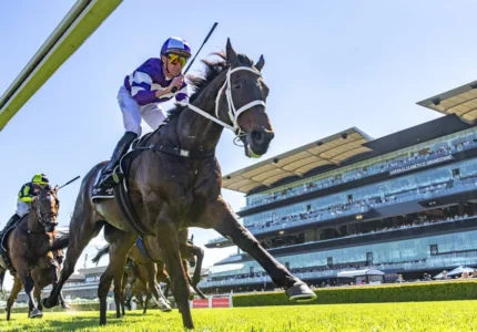 2026 Craven Plate winner Lindermann