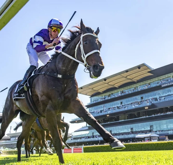 Craven Plate 2026 Results: Lindermann Makes History with Third Straight Win