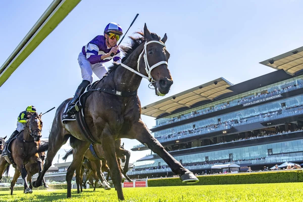 2026 Craven Plate winner Lindermann