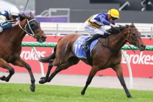 2026 Crystal Mile winner Surfin' Bird