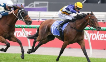 Surfin' Bird Soars into Empire Rose 2026 Calculations with Crystal Mile Triumph