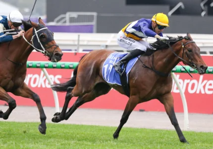2026 Crystal Mile winner Surfin' Bird
