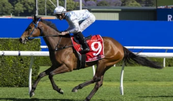 Spring Champion Stakes 2026 Results: Unbeaten Proxima Dea Powers to Glory and VRC Oaks Favouritism