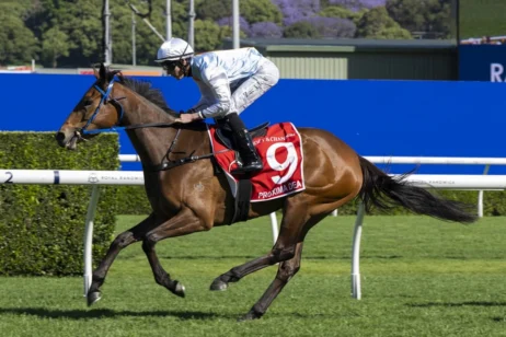 2026 Spring Champion Stakes winner Proxima Dea
