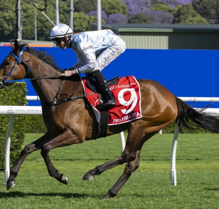 Spring Champion Stakes 2026 Results: Unbeaten Proxima Dea Powers to Glory and VRC Oaks Favouritism