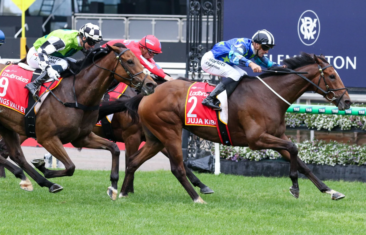 2026 Moonee Valley Gold Cup winner Juja Kibo