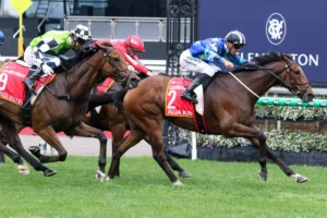 2026 Moonee Valley Gold Cup winner Juja Kibo