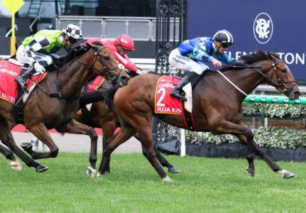 2026 Moonee Valley Gold Cup winner Juja Kibo