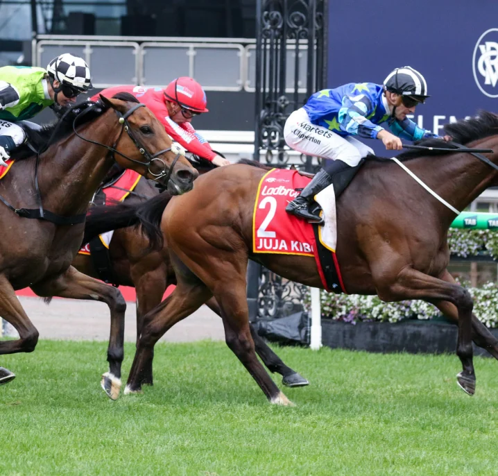 Juja Kibo Leads Maher Melbourne Cup 2026 Charge with Dominant Moonee Valley Gold Cup Triumph