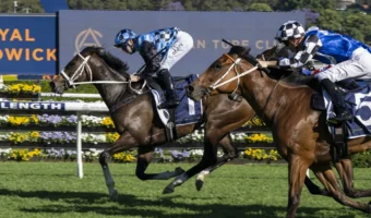 Lazzura Lands The Invitation 2026 Win, Empire Rose Stakes Beckons