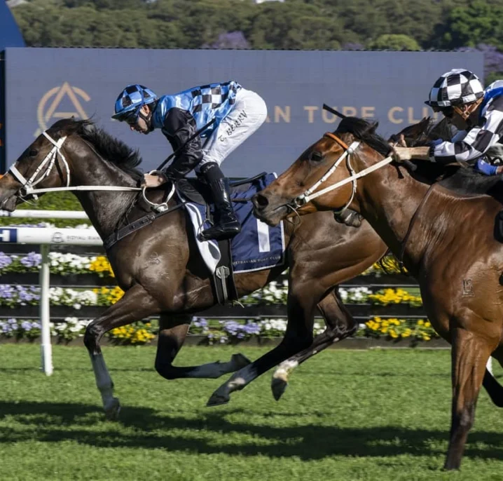 Lazzura Lands The Invitation 2026 Win, Empire Rose Stakes Beckons