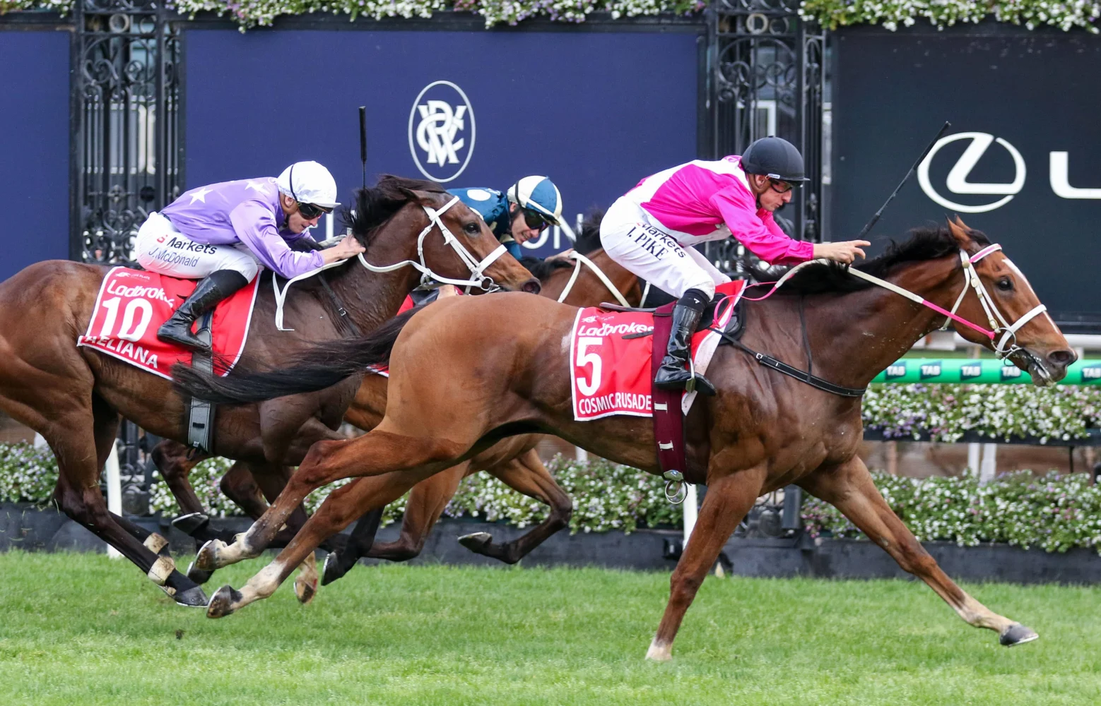 2026 Cox Plate winner Cosmic Crusader