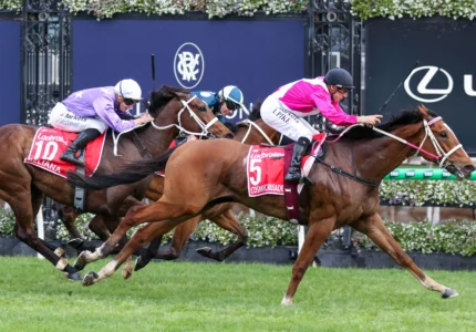 2026 Cox Plate winner Cosmic Crusader