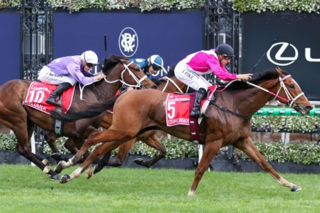 2026 Cox Plate winner Cosmic Crusader