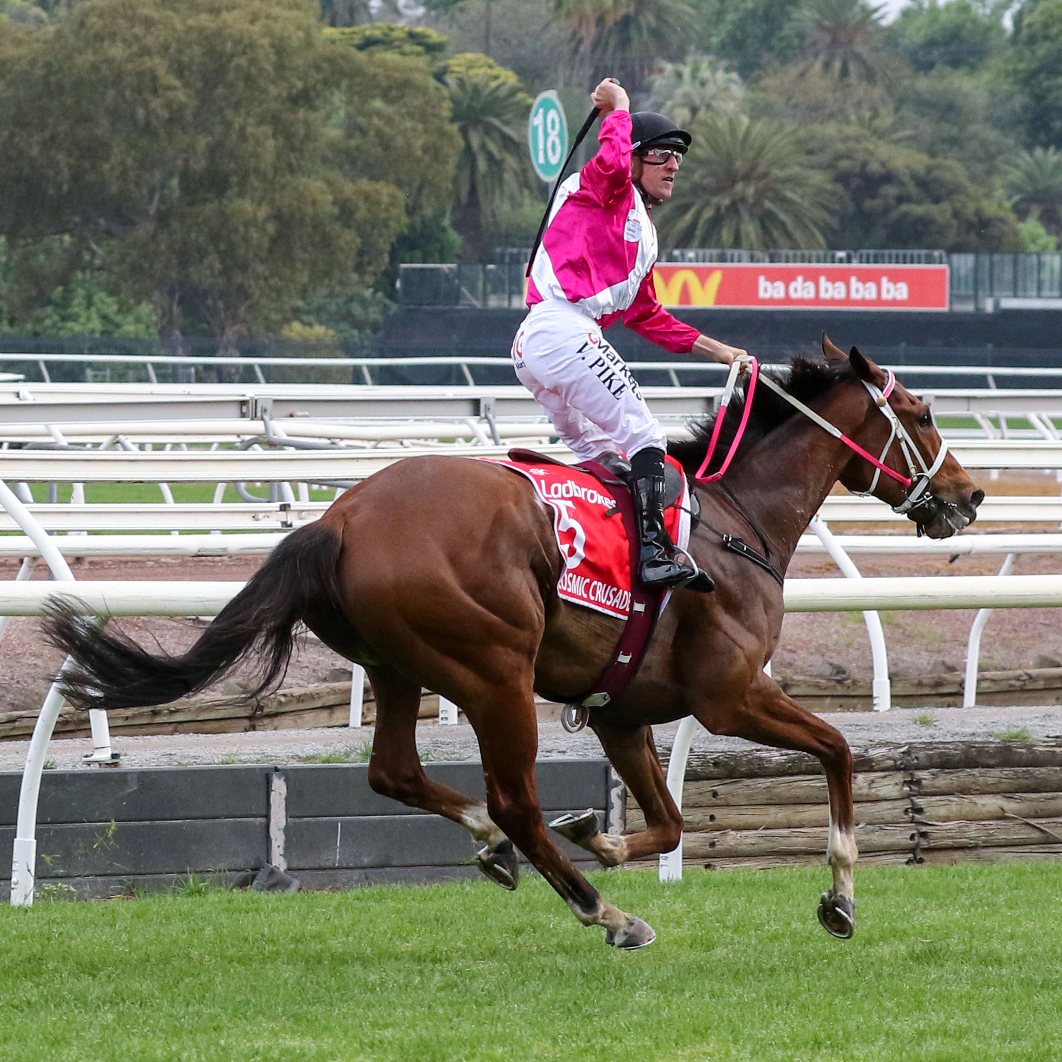 2026 Cox Plate winning jockey William Pike