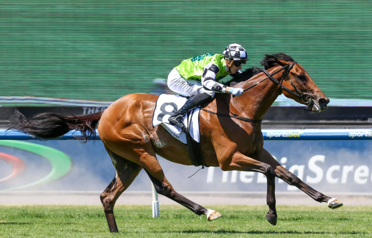 2026 Bendigo Cup Preview & Tips: Kings Valley