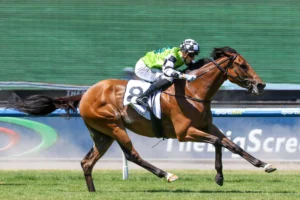 2026 Bendigo Cup Preview & Tips: Kings Valley