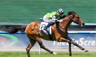 Ladbrokes Bendigo Cup 2026 Field Preview, Tips & Best Bets