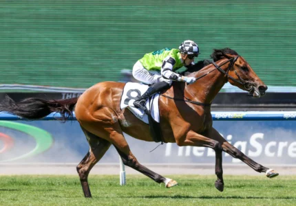 2026 Bendigo Cup Preview & Tips: Kings Valley