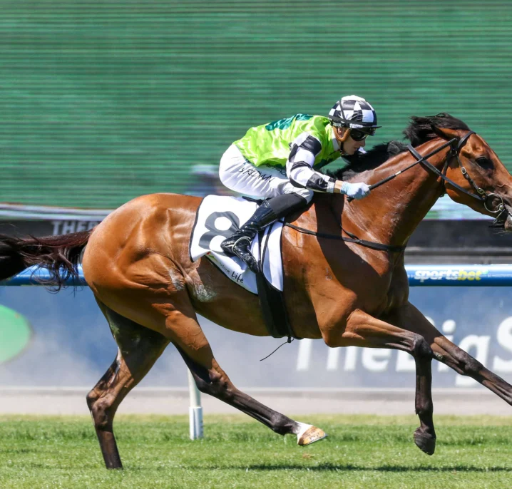 Ladbrokes Bendigo Cup 2026 Field Preview, Tips & Best Bets