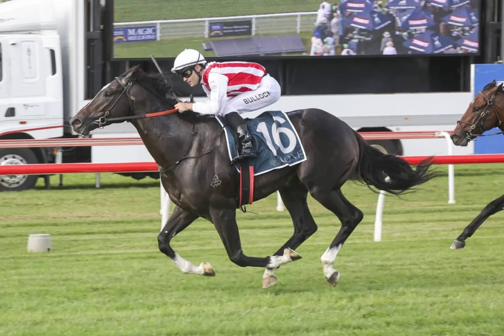 Victoria Derby 2026 Field & Betting Preview: Cormier