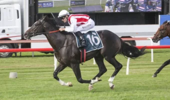 Victoria Derby 2026 Field, Barrier Draw & Betting Preview