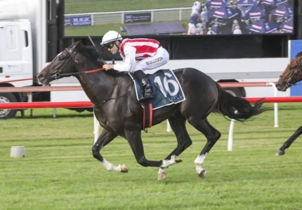 Victoria Derby 2026 Field & Betting Preview: Cormier