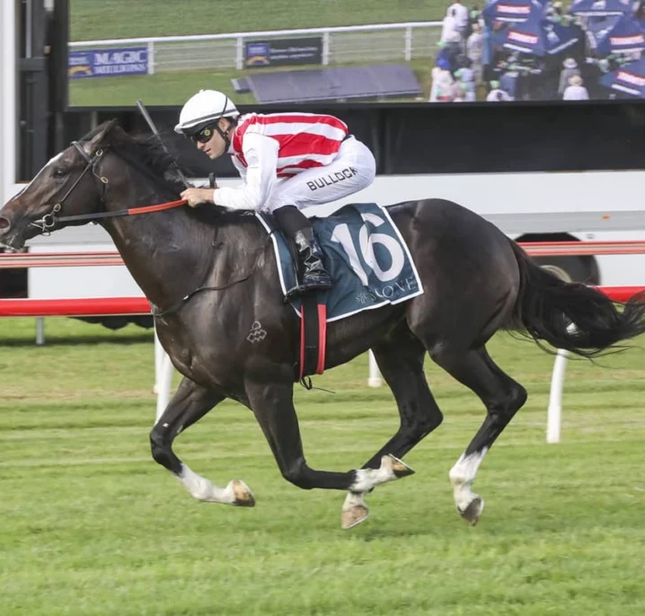 Victoria Derby 2026 Field, Barrier Draw & Betting Preview