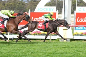 2026 Bendigo Cup Winner: So You Are