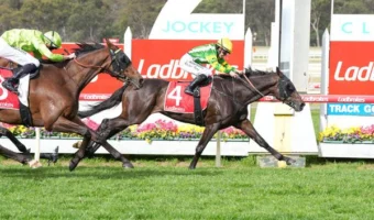 So You Are Stakes Melbourne Cup 2026 Claim with Bendigo Cup Triumph