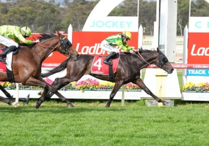 2026 Bendigo Cup Winner: So You Are