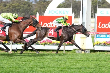 2026 Bendigo Cup Winner: So You Are