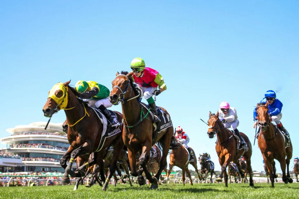 Melbourne Cup 2026 Field: Knights Choice