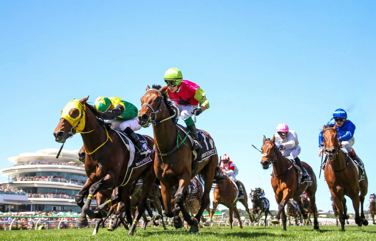 Melbourne Cup 2026 Field: Knights Choice
