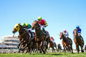 Melbourne Cup 2026 Field: Knights Choice