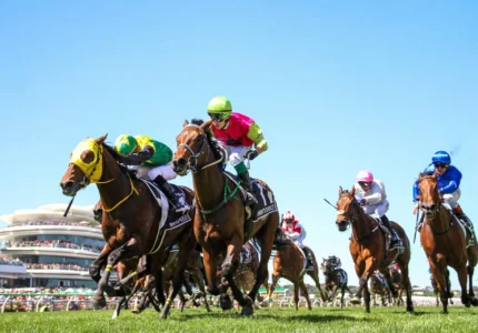 Melbourne Cup 2026 Field: Knights Choice