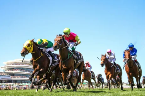 Melbourne Cup 2026 Field: Knights Choice