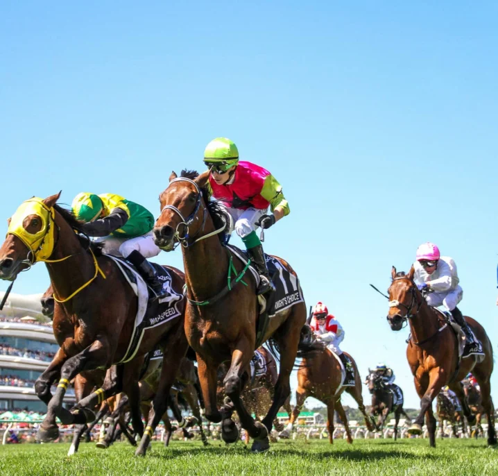 Melbourne Cup 2026 Field Release Date & Barrier Draw Time: When Is the Final Field Announced?